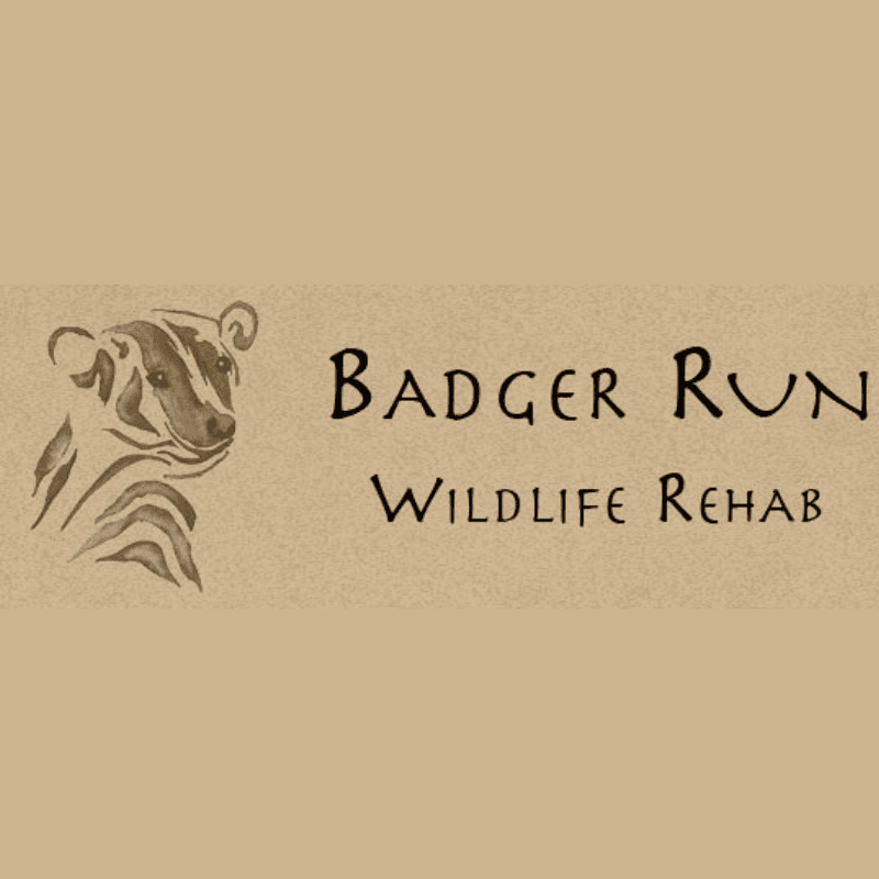 Badger Run logo