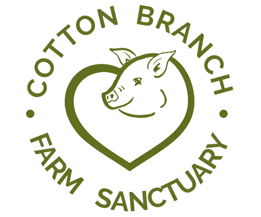 Cotton Branch Farm Sanctuary logo