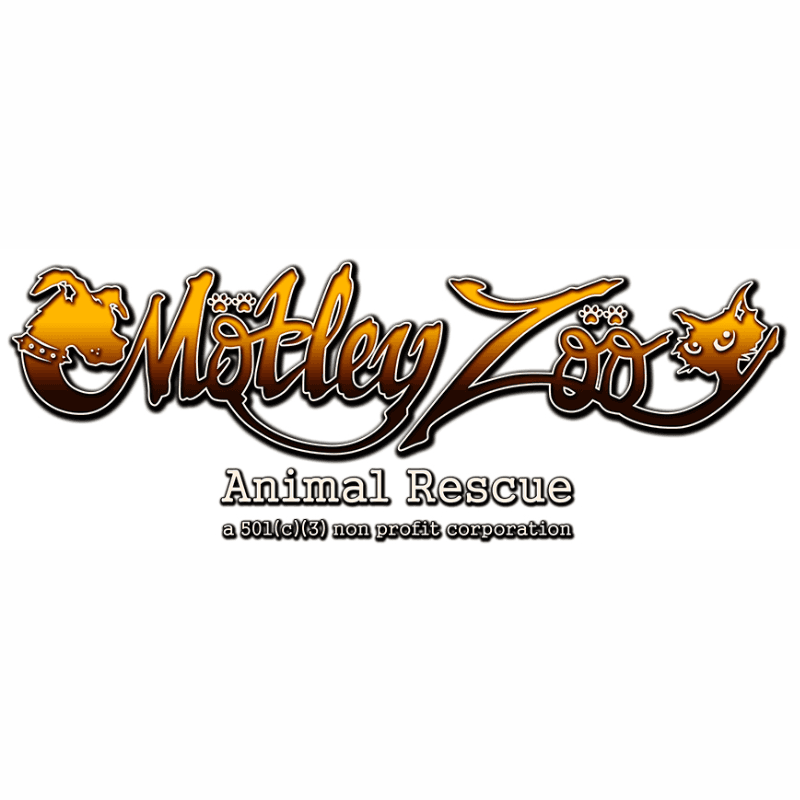 Motley Zoo logo